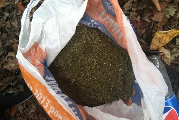 Правоохранители нашли у одессита пять килограммов марихуаны и пистолет (фото)