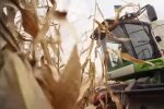 Франківчанам пропонують взятися за вила, і Ляшко тут ні до чого