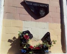 В Полтаве появилась группа "ватных мстителей"