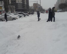 Зима, мороз - фото Знай.ua