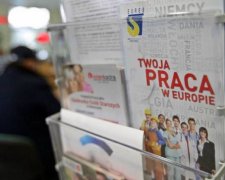 Польша кое-что пообещала украинским заробитчанам