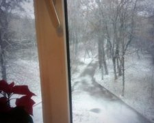 Кияни милуються першим снігом (фото)