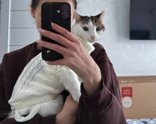 Котик, фото: Знай.ua