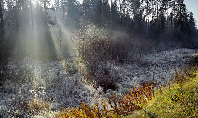 Погода на 8 листопада: закривайте вікна на ніч