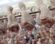 Украинская курятина попадет на рынки Египта