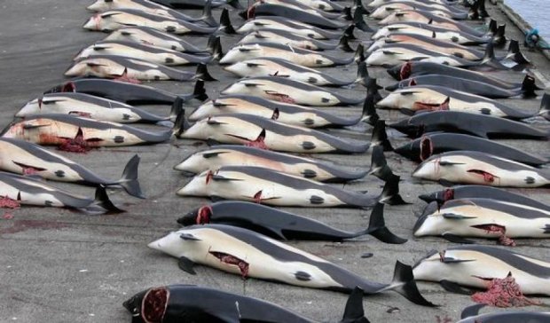 Японцы снова будут убивать китов