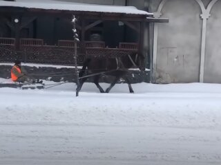 В Бродах лошадью на санях отгребают снег. Фото: скриншот.