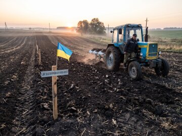 земельна ділянка поле оренда землі