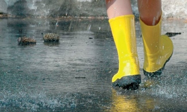 Погода на 25 травня: у дощів не буває вихідних