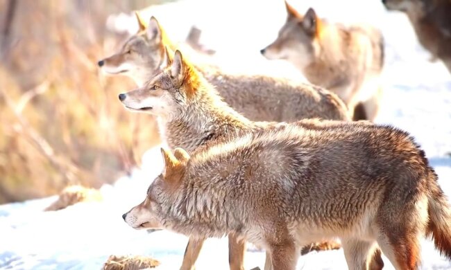 Яке свято 9 грудня: що потрібно обов'язково зробити в цей день
