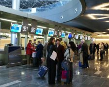 "Бандерівські" бджоли зірвали рейс росіян в окупований Крим