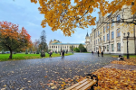 Українці, Київ, осінь, фото із соцмереж