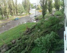 Наслідки руйнівного буревію в Сумах показали в мережі