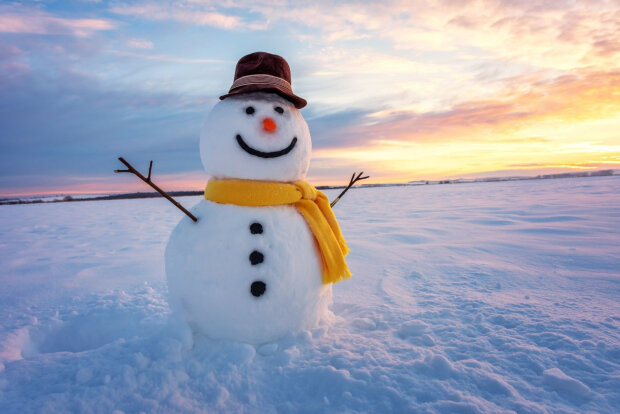 Сніговик, фото з відкритих джерел