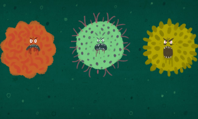 Майже проти всіх: мікробіологи створили універсального "вбивцю" вірусів