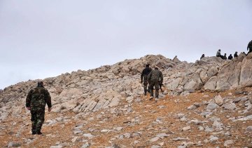 В мережі показали зруйновану Пальміру