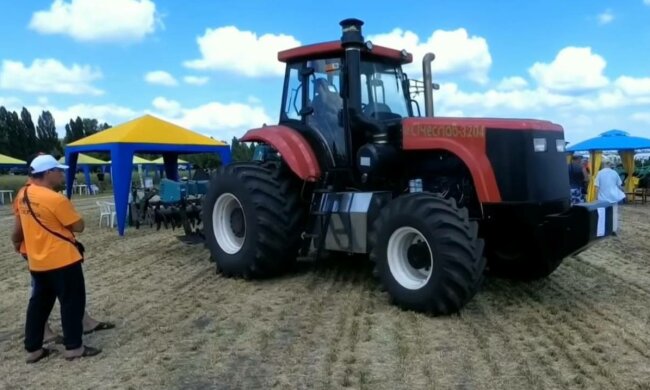 Ринок землі, фото: скріншот з відео