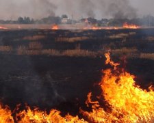 Последствия пожара на Осокорках показали с неба