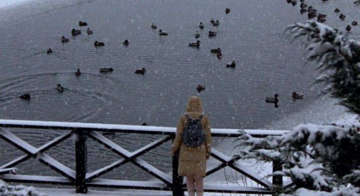 Українці, сніг, зима, фото із соцмереж