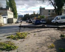 Дуже везучий водій приголомшив соцмережі