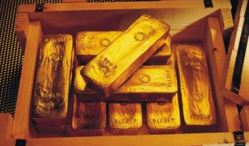 Діти знайшли золото, заховане у лісі