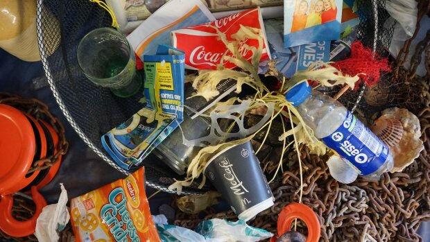 Вводит в заблуждение и убивает - ученые узнали об угрозе пластика