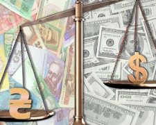 Долар подорожчав на 13 копійок