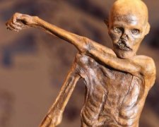 Яка гидота: вчені відтворили раціон стародавньої людини