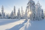 Праздники 29 февраля, фото: pixabay