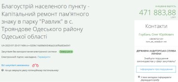 Тендер на ремонт парка в Одесской обл, скриншот