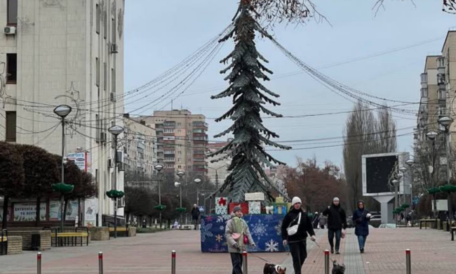 Ялинка в Броварах, фото з соцмереж