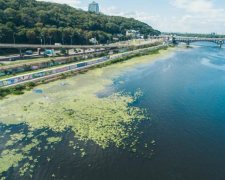 Цветение Днепра: насколько это опасно и можно ли купаться