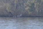 Украинские водоемы, скриншот: YouTube