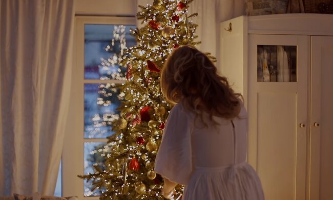 Новый год, новогодняя елка. Фото: Знай.ua