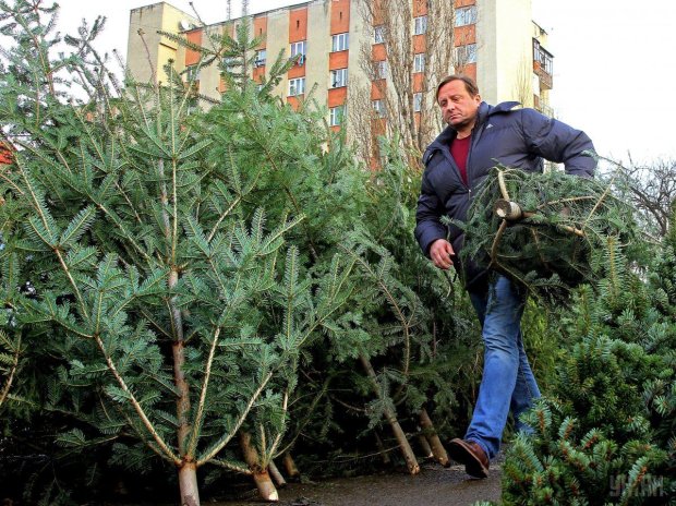 Самая уродливая елка Украины сводит соцсети с ума: убийца новогоднего настроения