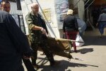 У Запоріжжі чоловік вирішив прикупити молодої картоплі і помер посеред ринку - покупці розбіглися в паніці