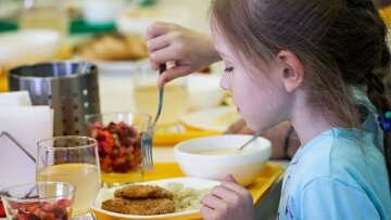 Шкільний автобус та безкоштовне харчування для школярів України