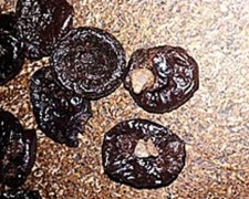 Заключенным продавали опиум в черносливе