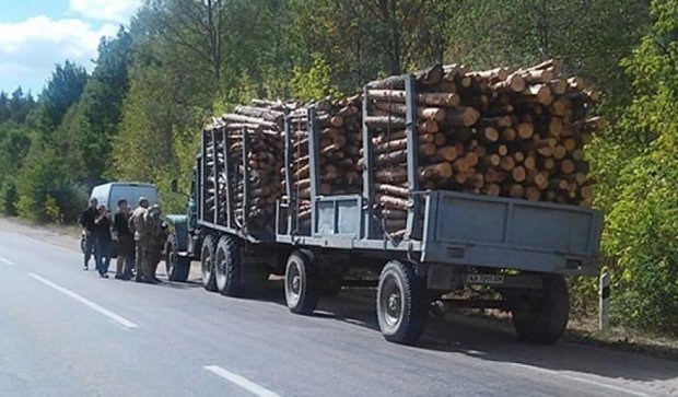 Семенченко виявив незаконну вирубку лісу в Житомирській області (фото)