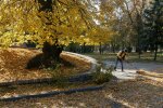 Бабье лето снова постучится в Одессу: синоптики озвучили теплый прогноз на 27 октября