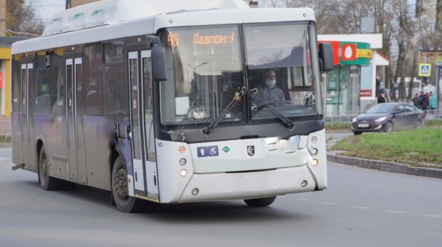 Автобус, фото: скріншот з відео