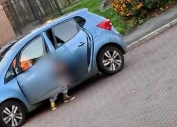 Жінка випорожнювалася посеред вулиці