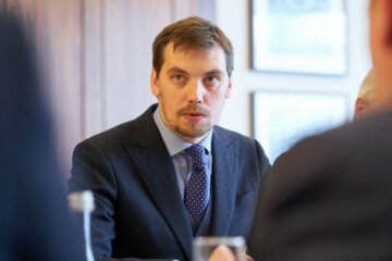 Можлива реприватизація окремих компаній може відлякати інвесторів, - Гончарук