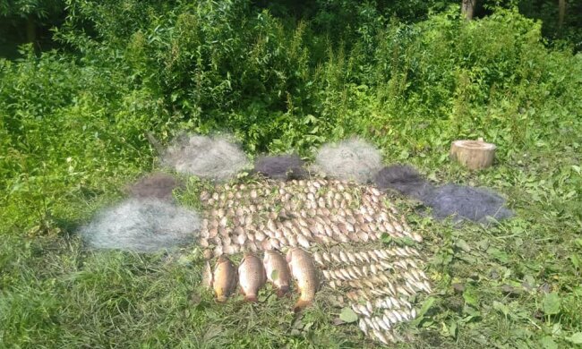 В Тернополе "черные рыбаки" попали в сети собственной жадности - вот вам и щука