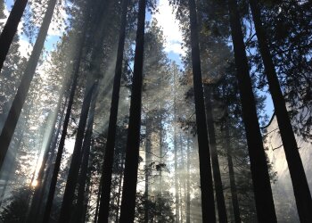 погода в Україні, фото pxhere