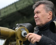 Неожиданно: украинцы смогут увидеть декларацию Януковича