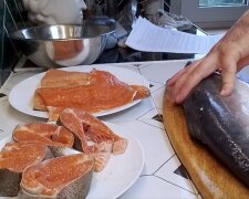 Лосось: фото скрин Ютуб