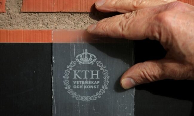 Вчені розробили прозоре дерево