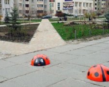 У Києві «завелися» два велетенських сонечка (фото)
