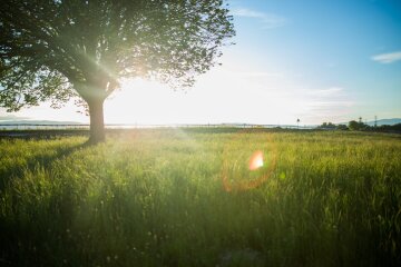 погода в Україні, фото pxhere